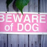 Beware-Dog